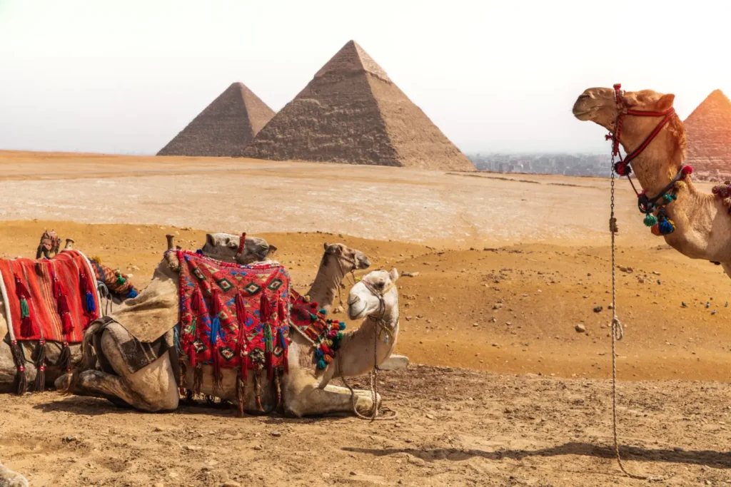 Les pyramides de Gizeh en Égypte