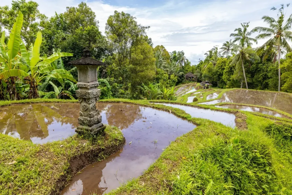 Voyage à Bali
